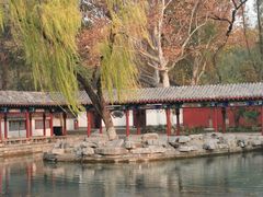 -百脉泉景区