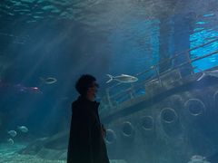 -福州罗源湾海洋世界旅游区