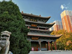 -迎泽公园