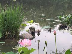 -新江湾城公园