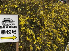 -酷鱼垂钓CLUB(朝阳区博大路店 )