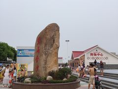 -碧海金沙