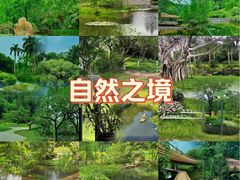 -云溪植物园
