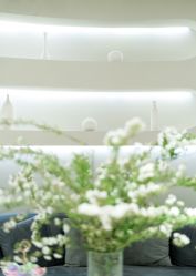 -MIVI·纹眉半永久野生眉