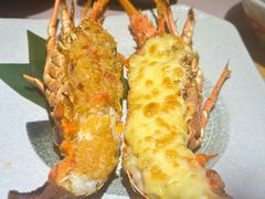 -吉兆·料理(红梅南路店)