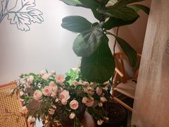 -左悦·艾灸调理·推拿按摩·精油SPA(卓悦汇店)