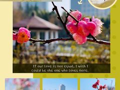 -新虹桥中心花园