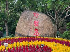 -野狸岛