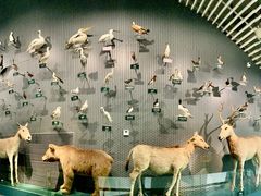 -中国湿地博物馆