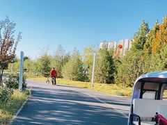 -永定河休闲森林公园