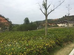 -清远熹乐谷温泉度假酒店