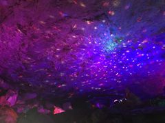 -陶祖圣境风景区