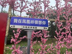-北京凤凰岭