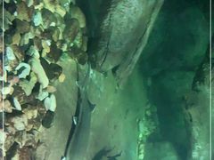 -福州罗源湾海洋世界旅游区