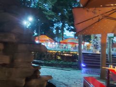 -二荆条·蜀鲜汇城市森林火锅