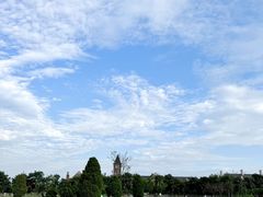 -昆明冠生园·鲜花饼·面包蛋糕(老街店)