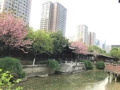 -龙潭水乡