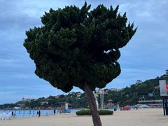 -青岛第一海水浴场