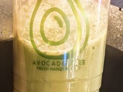 -油梨树AVOCADO TREE(嘉里中心店)