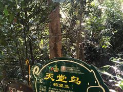 -呀诺达热带雨林