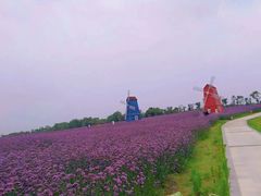 -花博汇(知音花月夜)