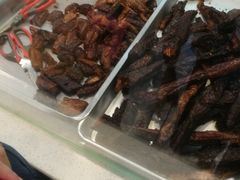 -都士牧人现烤牛肉干