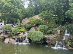 -江心屿景区