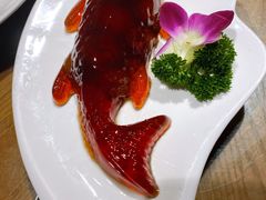 -船尚小镇(武清下朱庄店)