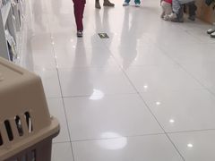 -美联众合动物医院·24h京西诊疗中心