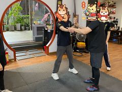 -温鉴良实用咏春拳