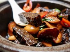 三杯杏鲍菇-光头匠
