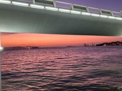 -演武大桥观景平台
