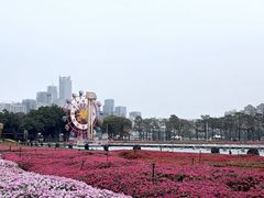 -海心沙亚运公园