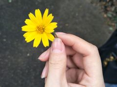 -东部华侨城