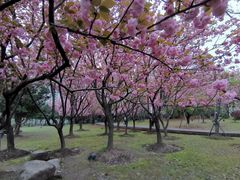 -苏州河梦清园环保主题公园