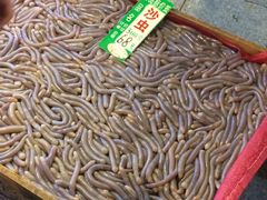 -御唐府海珊瑚主题餐厅