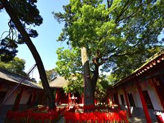 -少华山国家森林公园