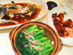 -南海渔村(珠江新城店)