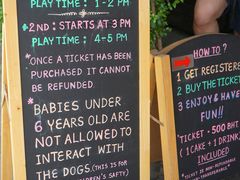 -TrueLove @ Neverland (Husky Cafe)