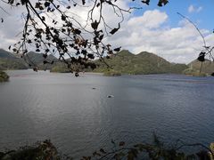 -阿哈湖国家湿地公园