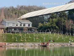 -龙吟九品(青龙山庄店)