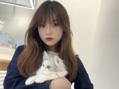 -怪兽屋·羊驼·猫咖·狗咖(俊华广场店)