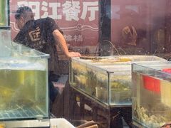-阳江餐厅·30年老字号·粤菜海鲜大排档