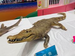 -丽达购物中心(崂山店)