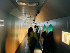 -白鹤梁水下博物馆