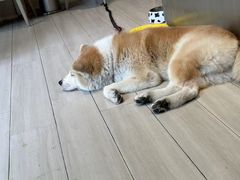 -YCHL Studios健身工作室(市二宫店)