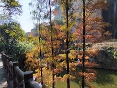 -广州莲花山旅游区