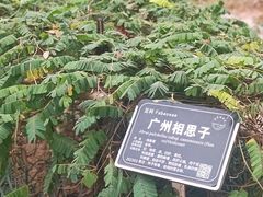 -东莞植物园