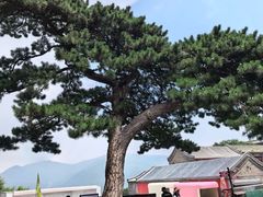 -妙峰山风景名胜区