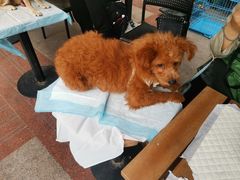 -COSTA COFFEE(上海虹口公园店)